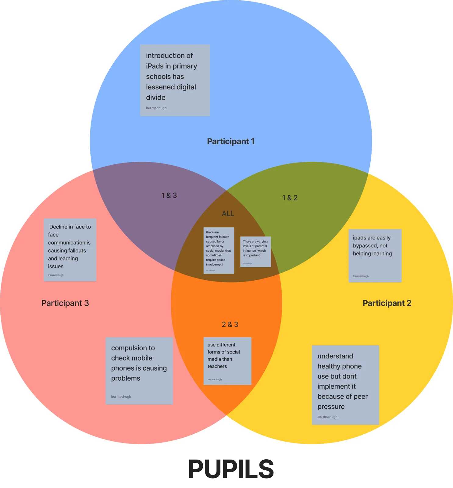 A Venn diagram mapping pupils, participants and their overlapping needs